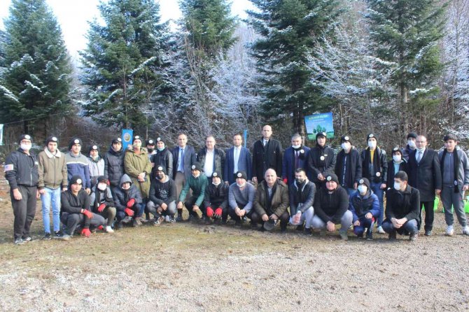 İ̇nebolu’da 300 Adet Fidan Toprakla Buluştu