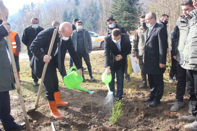 İ̇nebolu’da 300 Adet Fidan Toprakla Buluştu
