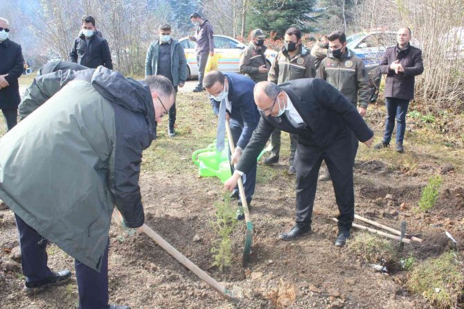 İ̇nebolu’da 300 Adet Fidan Toprakla Buluştu