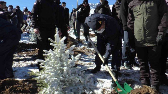 Milli Ağaçlandırma Günü’nde Erciyes’e 3 Bin Fidan Dikildi