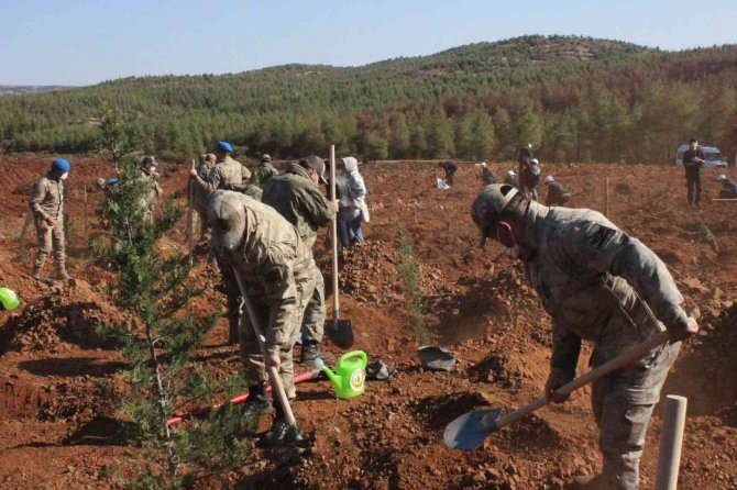 Yanan Demirciler Orman Alanında Fidanlar Toprakla Buluştu