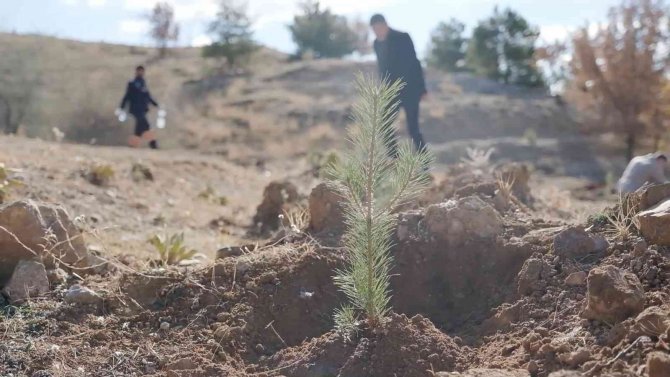 6 Bin Adet Fidan Toprakla Buluştu