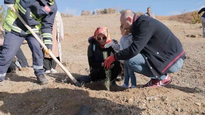 6 Bin Adet Fidan Toprakla Buluştu