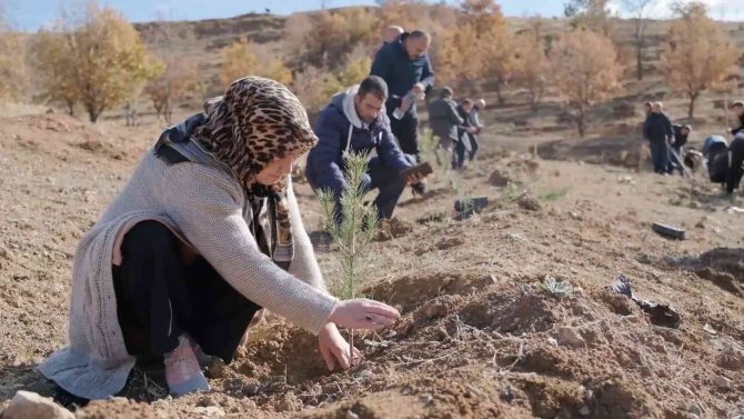 6 Bin Adet Fidan Toprakla Buluştu
