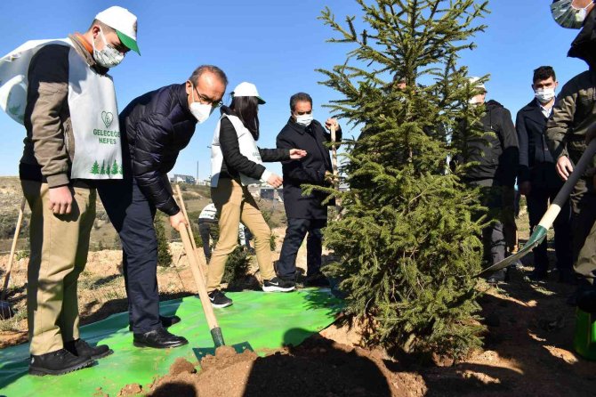 Kocaeli’de 40 Bin Fidan Toprakla Buluşturuldu