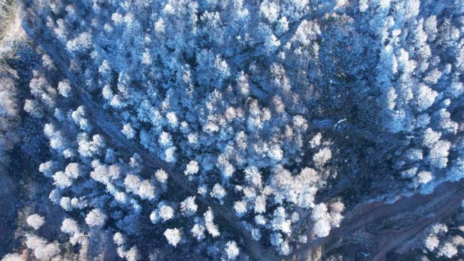 Kartepe’ye Sezonun İlk Karı Yağdı
