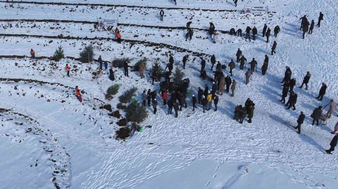 Kar Altında Binlerce Fidanı Toprakla Buluşturdular