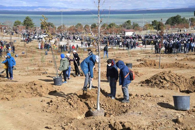 Konya Büyükşehir Belediyesi 5 Bin Fidanı Toprakla Buluşturdu