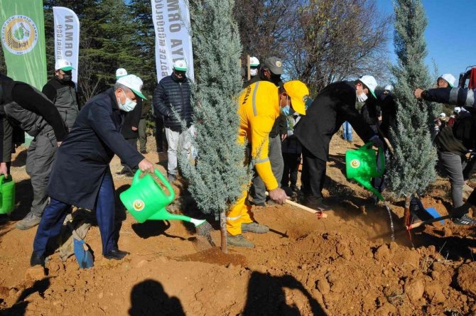Akşehir’de 800 Fidan Toprakla Buluşturuldu