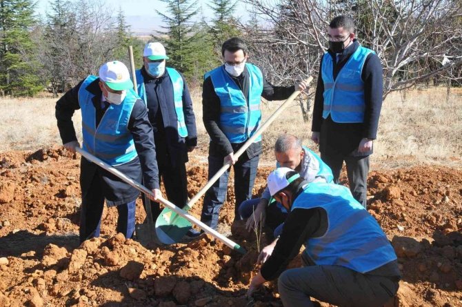 Akşehir’de 800 Fidan Toprakla Buluşturuldu
