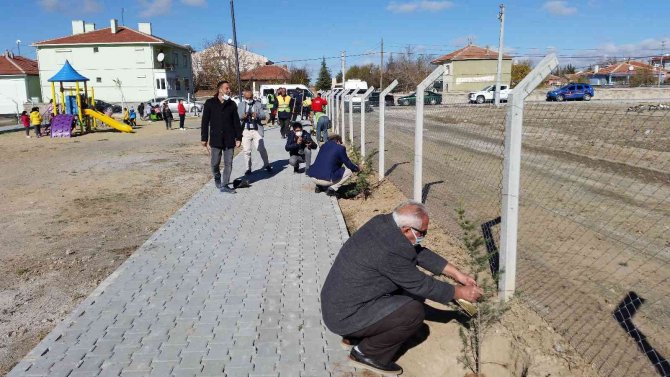 Kulu’da Milli Ağaçlandırma Günü’nde Fidanlar Toprakla Buluştu