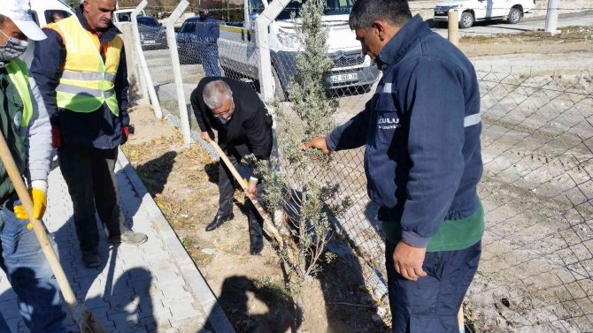 Kulu’da Milli Ağaçlandırma Günü’nde Fidanlar Toprakla Buluştu