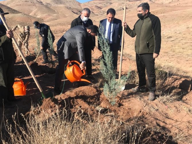 Malatya’nın İlçeleri De Yeşilleniyor
