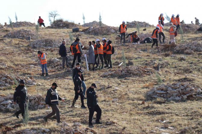 Malatya’da Bir Yılda 2 Milyon 250 Bin Fidan Toprakla Buluşacak