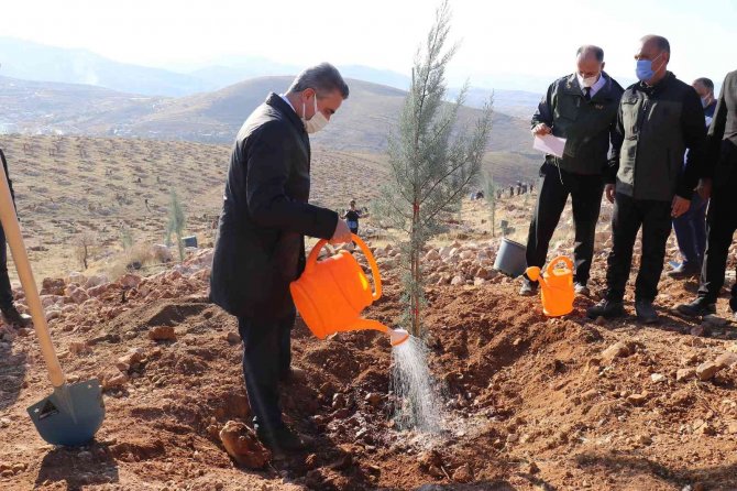 Malatya’da Bir Yılda 2 Milyon 250 Bin Fidan Toprakla Buluşacak