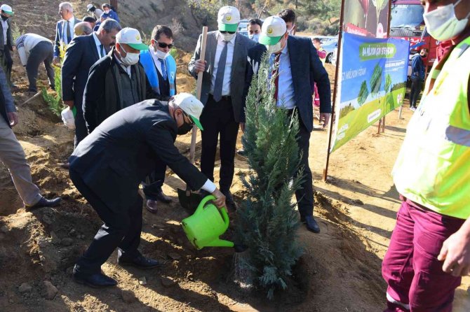 Salihli’de 3 Ay Önce Yanan Alana 5 Bin Fidan Dikildi