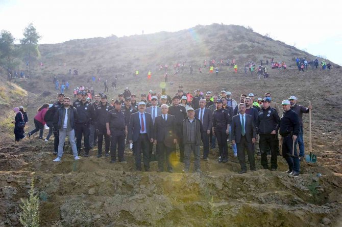 Salihli’de 3 Ay Önce Yanan Alana 5 Bin Fidan Dikildi