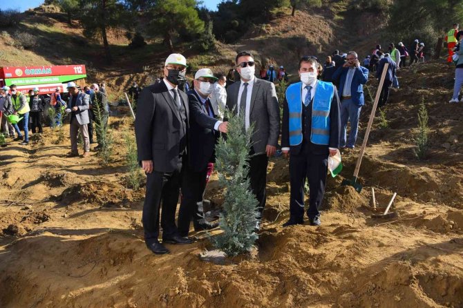 Salihli’de 3 Ay Önce Yanan Alana 5 Bin Fidan Dikildi