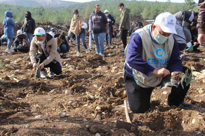İ̇zmir’de 65 Bin Fidan Toprakla Buluştu