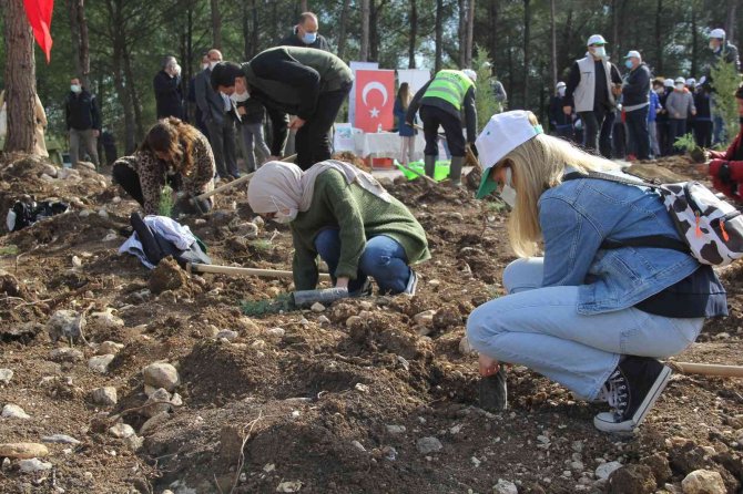 İ̇zmir’de 65 Bin Fidan Toprakla Buluştu
