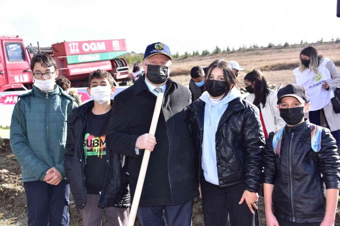 Milli Ağaçlandırma Günü’nde Fidan Dikildi