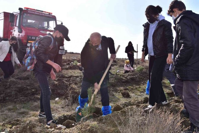 Milli Ağaçlandırma Günü’nde Fidan Dikildi