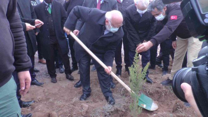 Nevşehir’de 5 Bin Fidan Toprakla Buluşturuldu