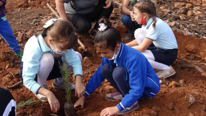 Geleceğe Nefes Projesi Kapsamında Marmaris’te 50 Bin Fidan Dikildi