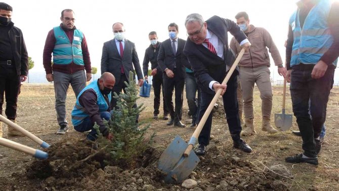 Muş’ta 15 Bin Fidan Toprakla Buluşturuldu