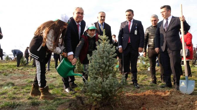 Muş’ta 15 Bin Fidan Toprakla Buluşturuldu