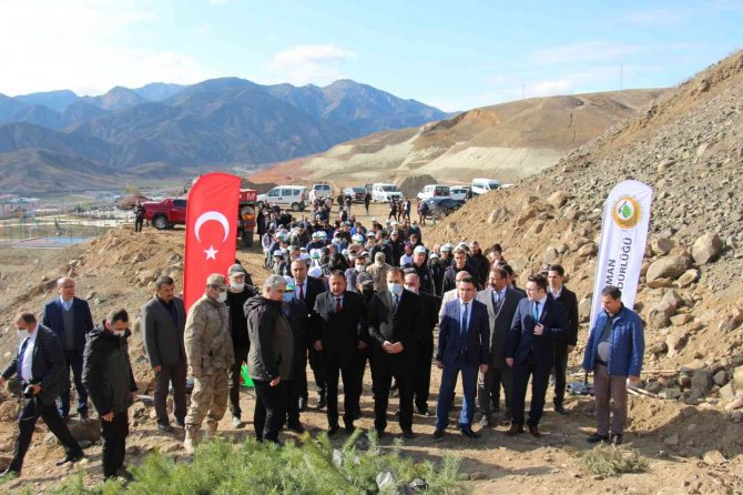 Oltu’da 6 Bin Fidan Toprakla Buluştu