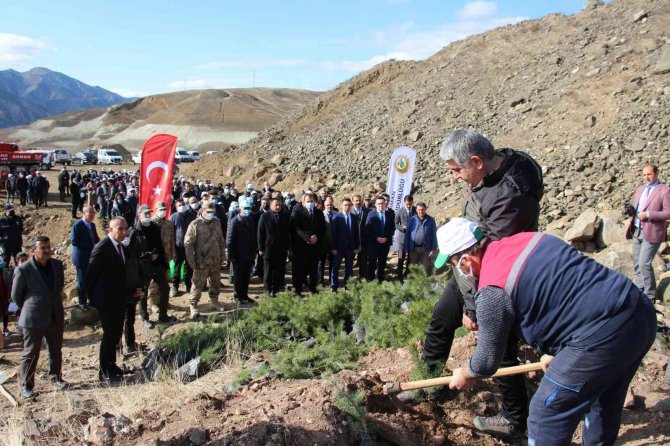 Oltu’da 6 Bin Fidan Toprakla Buluştu