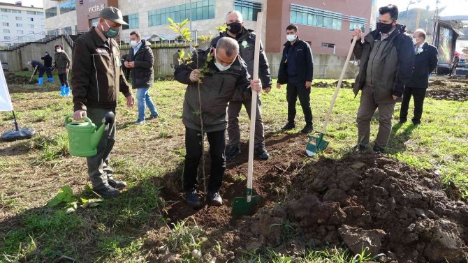 Ordu’da 116 Bin Fidan Toprakla Buluştu
