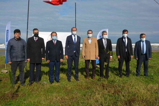 Fidanlar Ormana Dönüşecek