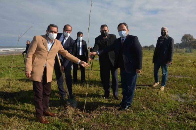 Fidanlar Ormana Dönüşecek