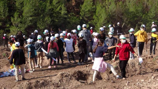 Osmaniye’de Yanan Ormanlık Alanda Fidanlar Toprakla Buluştu