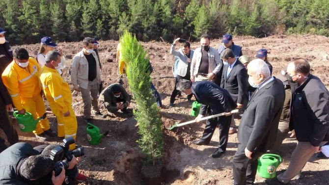 Osmaniye’de Yanan Ormanlık Alanda Fidanlar Toprakla Buluştu