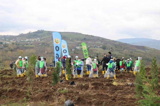 Samsun’da Fidanlar Toprakla Buluştu: Hedef 771 Bin Fidan