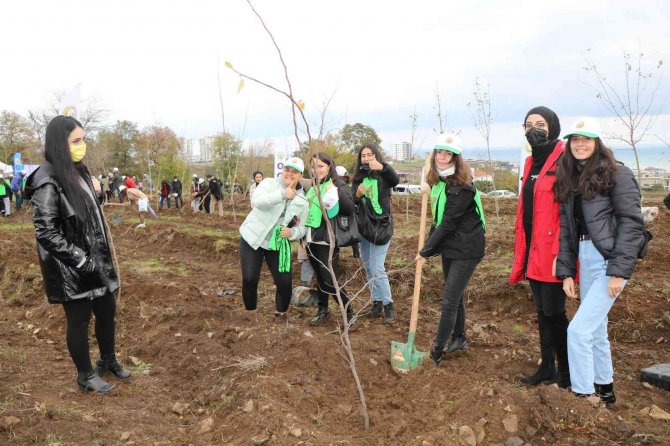 Samsun’da Fidanlar Toprakla Buluştu: Hedef 771 Bin Fidan