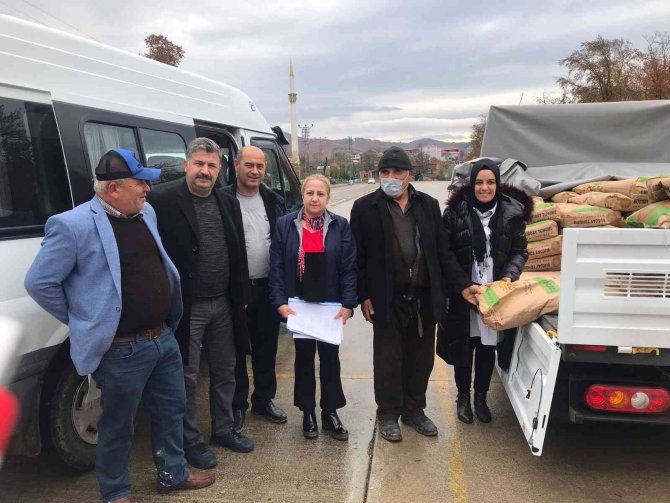 Türkiye’de Ekmeklik Buğday Üretimini Artırma Destekleri