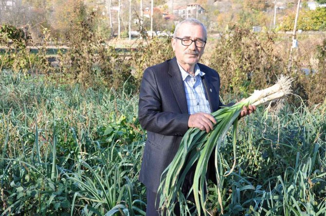 150 Yıllık Ata Tohumlarıyla Üretiyorlar