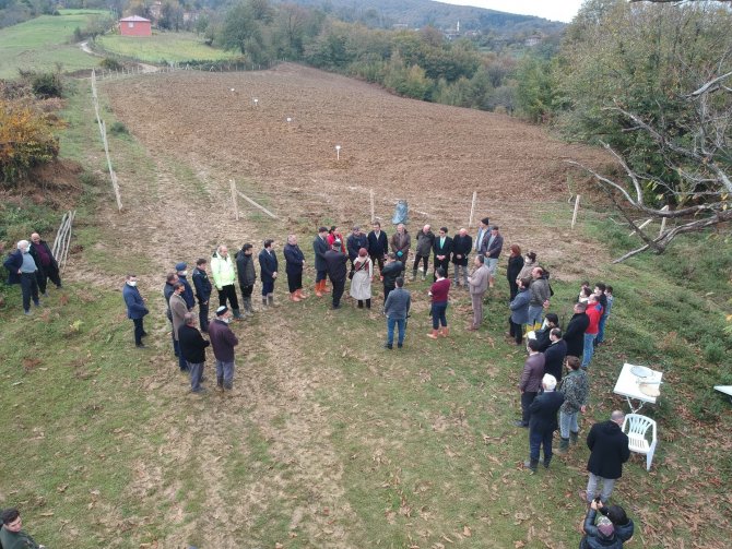 Sinop’ta ‘Milli Ağaçlandırma Günü’nde Kestane Ormanına İlk Fidanlar Dikildi