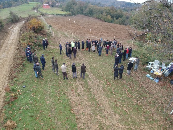 Sinop’ta ‘Milli Ağaçlandırma Günü’nde Kestane Ormanına İlk Fidanlar Dikildi