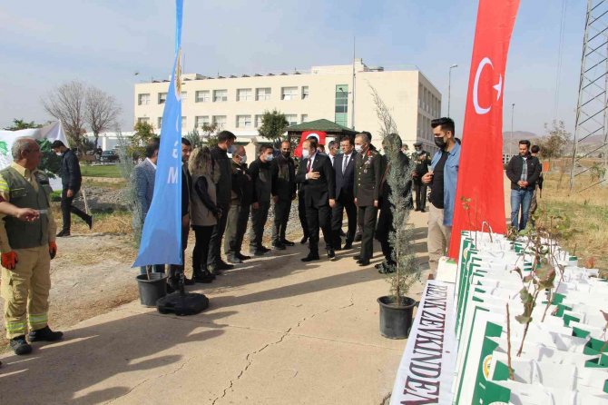 Şırnak’ta 56 Bin Fidan Toprakla Buluştu