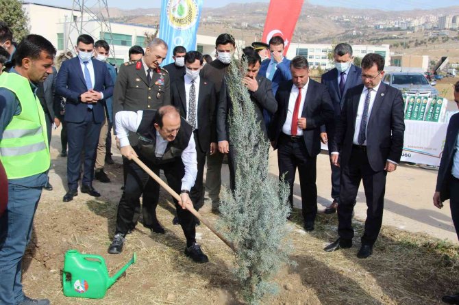 Şırnak’ta 56 Bin Fidan Toprakla Buluştu