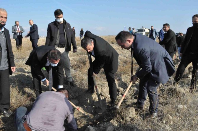 Sungurlu Adalet Ormanına 300 Fidan Dikildi