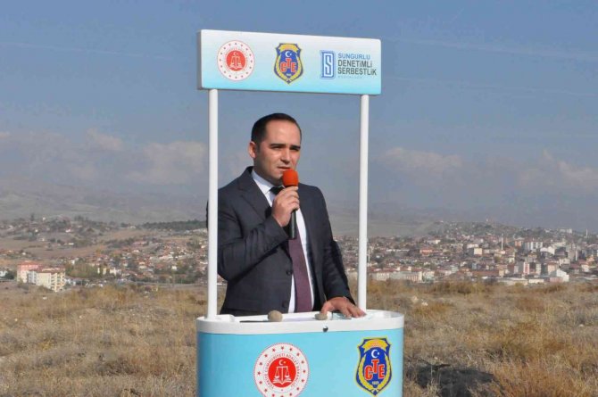 Sungurlu Adalet Ormanına 300 Fidan Dikildi
