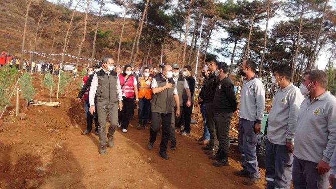 Bakan Yardımcısı Metin, Marmaris’teki Fidan Dikme Törenine Katıldı