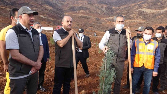 Bakan Yardımcısı Metin, Marmaris’teki Fidan Dikme Törenine Katıldı