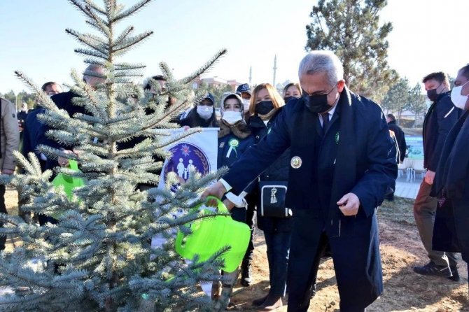 ‘Geleceğe Nefes’ Projesi Kapsamında Kastamonu’da 752 Bin Fidan Yeşerecek